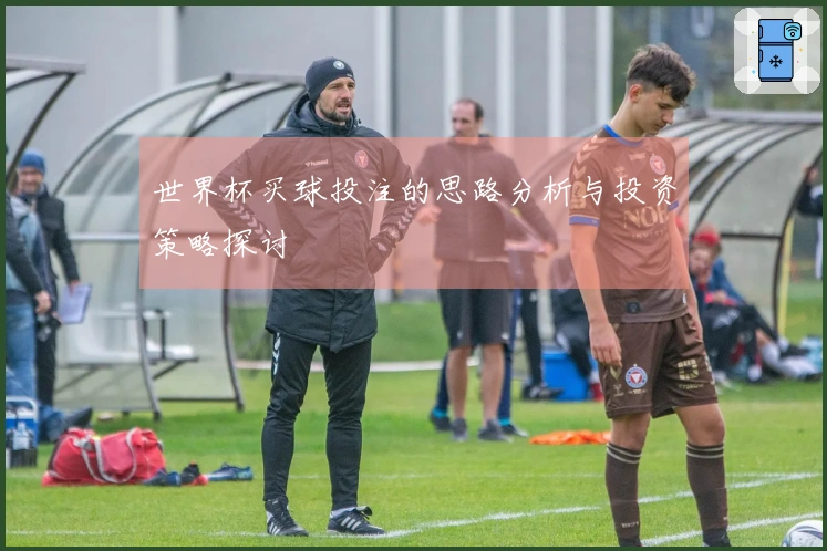 世界杯买球投注的思路分析与投资策略探讨